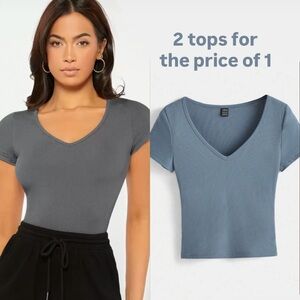 TWO Short Sleeve V-Neck Crop Tops - Gray & Dusty Blue